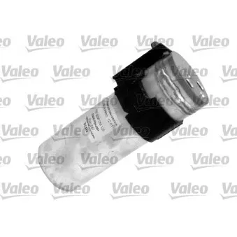 Filtre déshydratant, climatisation VALEO 509719 pour DAF XF 95 1.9 DTI - 80cv