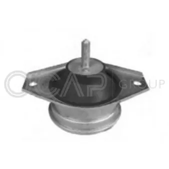 Support, suspension du moteur OCAP [1225934]