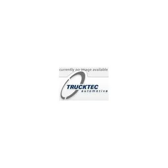 TRUCKTEC AUTOMOTIVE 01.22.050 - Support moteur