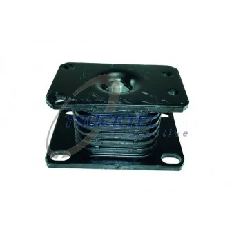 TRUCKTEC AUTOMOTIVE 01.30.118 - Suspension, ressort à lames