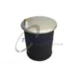 Ressort pneumatique, suspension pneumatique TRUCKTEC AUTOMOTIVE [01.30.262]