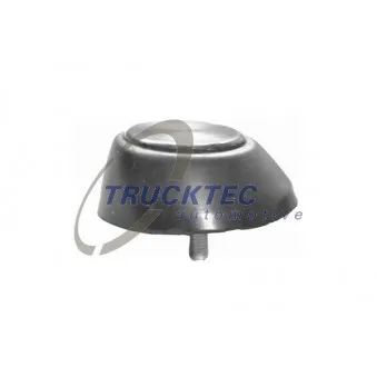 TRUCKTEC AUTOMOTIVE 02.53.221 - Cale-porte