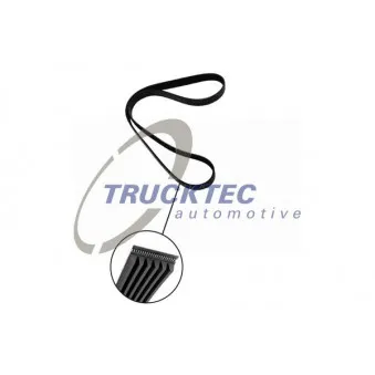 TRUCKTEC AUTOMOTIVE 03.19.040 - Courroie trapézoïdale à nervures