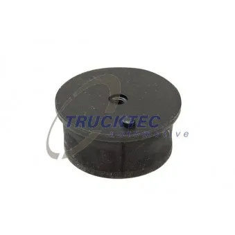 TRUCKTEC AUTOMOTIVE 03.22.009 - Support moteur