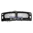 TRUCKTEC AUTOMOTIVE 08.62.234 - Grille de radiateur