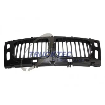 TRUCKTEC AUTOMOTIVE 08.62.234 - Grille de radiateur
