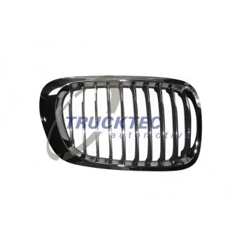 TRUCKTEC AUTOMOTIVE 08.62.254 - Grille de radiateur