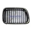 Grille de radiateur TRUCKTEC AUTOMOTIVE [08.62.256]
