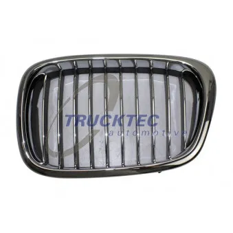 TRUCKTEC AUTOMOTIVE 08.62.300 - Grille de radiateur