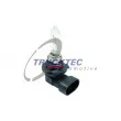 Ampoule, projecteur principal TRUCKTEC AUTOMOTIVE [88.58.113]