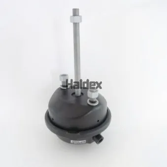 Cylindre de frein à diaphragme HALDEX 123240003 pour MAN TGA 41,440 - 440cv