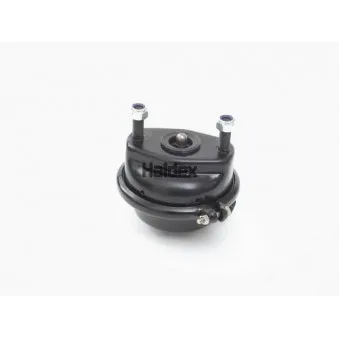 Cylindre de frein à diaphragme HALDEX 125200001 pour MAN L2000 10,223 LC,10,223 LLC - 220cv
