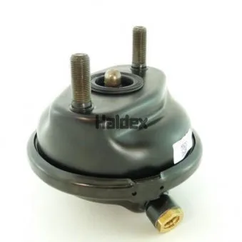 Cylindre de frein à diaphragme HALDEX 125200405 pour MERCEDES-BENZ ACTROS MP2 / MP3 2550 LS - 503cv