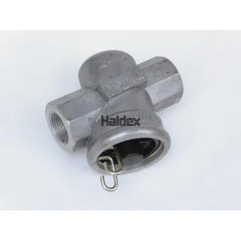 Filtre à air HALDEX 310005011 pour MAN TGS 41,400 - 400cv