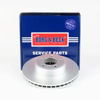 BORG & BECK BBD5951S - Jeu de 2 disques de frein avant