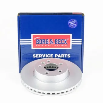 BORG & BECK BBD6254S - Jeu de 2 disques de frein avant