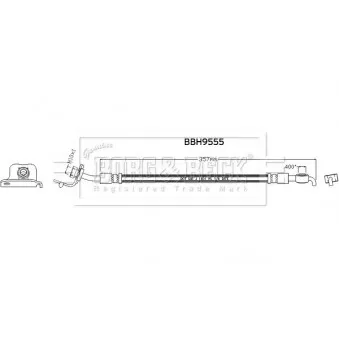 Flexible de frein BORG & BECK [BBH8955]