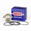 BORG & BECK BBT042 - Thermostat d'eau