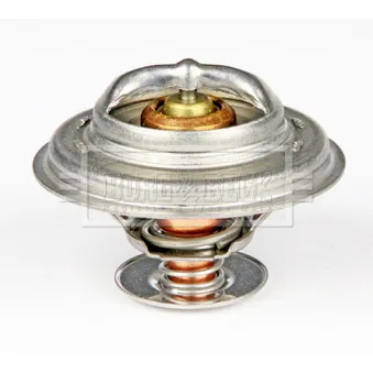 Thermostat d'eau BORG & BECK BTS385.80 pour VOLKSWAGEN GOLF 2.9 VR6 Syncro - 190cv