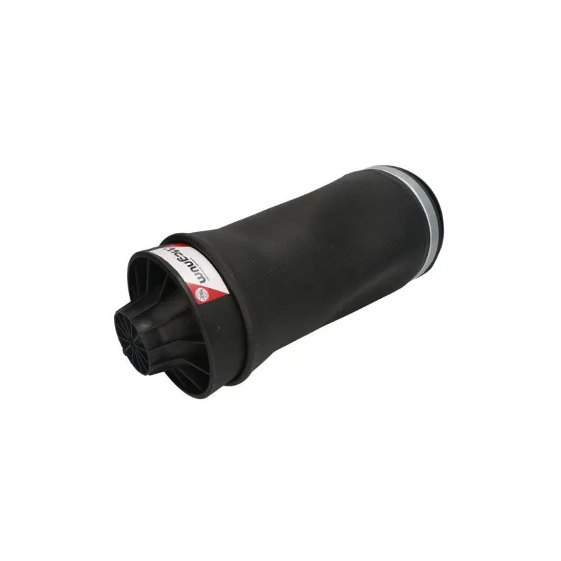 Ressort pneumatique, châssis MAGNUM TECHNOLOGY MZY001MT - Visuel 1