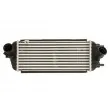 Intercooler, échangeur THERMOTEC [DA05006TT]