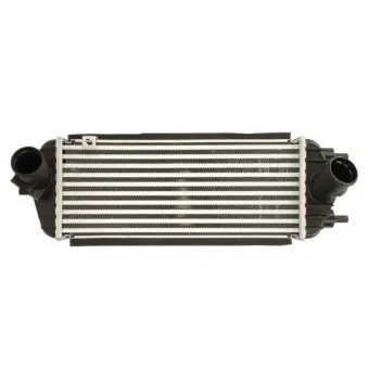 THERMOTEC DA05006TT - Intercooler, échangeur