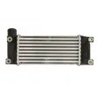 THERMOTEC DA2007TT - Intercooler, échangeur