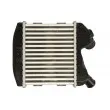 THERMOTEC DAM031TT - Intercooler, échangeur