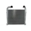 Intercooler, échangeur THERMOTEC [DASC007TT]