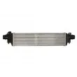 THERMOTEC DAX030TT - Intercooler, échangeur
