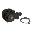 THERMOTEC WP-NH013 - Pompe à eau