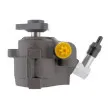 LAUBER 55.0172 - Pompe hydraulique, direction