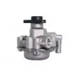 LAUBER 55.0621 - Pompe hydraulique, direction