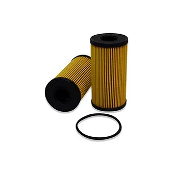 Filtre à huile FLEETGUARD OEM 1520900Q0A