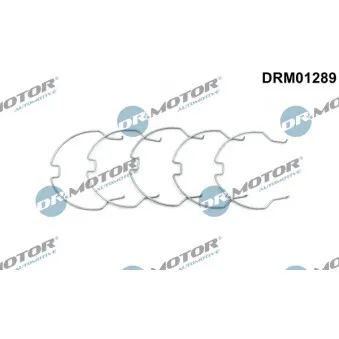 Dr.Motor DRM01289 - Gaine de suralimentation