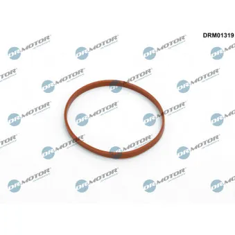 Joint, manchon de vanne papillon Dr.Motor DRM01319