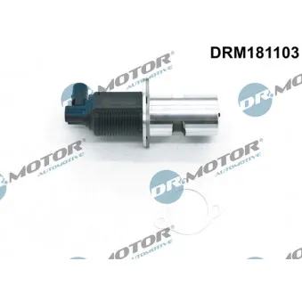 Dr.Motor DRM181103 - Vanne EGR