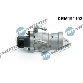 Dr.Motor DRM191103 - Vanne EGR