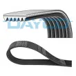 DAYCO 6PK1485 - Courroie trapézoïdale à nervures