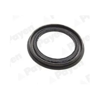 Bague d'étanchéité, moyeu de roue PAYEN OEM 4023231G00