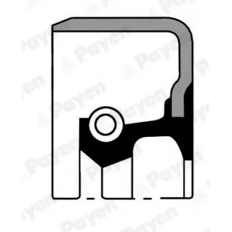 Bague d'étanchéité, boîte de vitesse manuel PAYEN [NJ794]