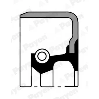 PAYEN NK054 - Bague d'étanchéité, moyeu de roue