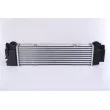 NISSENS 961596 - Intercooler, échangeur