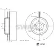 SWAG 33 10 4960 - Jeu de 2 disques de frein avant