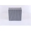 NISSENS 92250 - Evaporateur climatisation