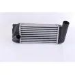 NISSENS 96263 - Intercooler, échangeur