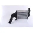 NISSENS 96591 - Intercooler, échangeur
