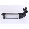 NISSENS 96592 - Intercooler, échangeur
