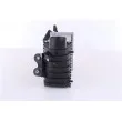 NISSENS 96747 - Intercooler, échangeur