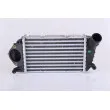 NISSENS 96794 - Intercooler, échangeur